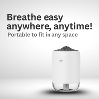 Mini Mist USB Air Purifier