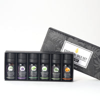 RoomShine Aromatherapy Essentials – 6-Scent Set
